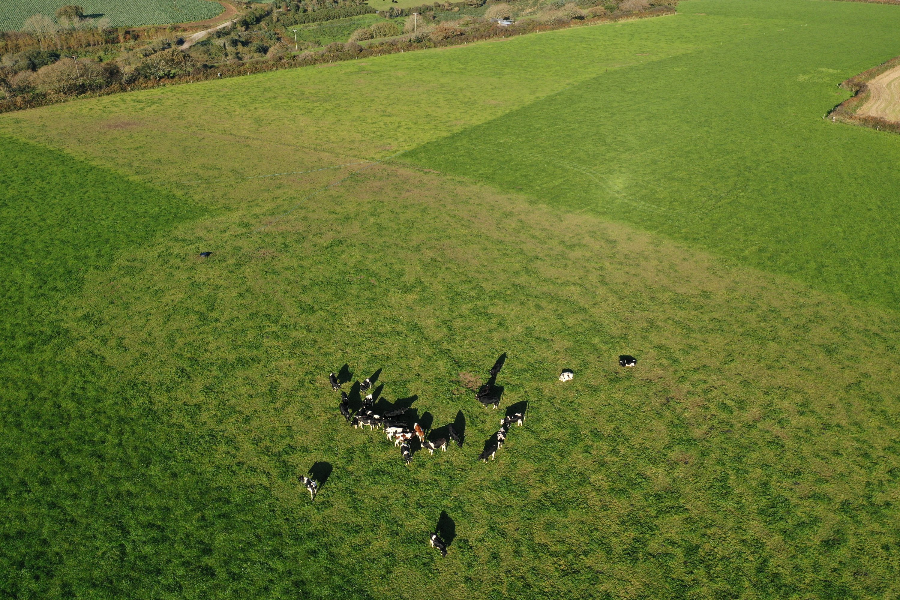 The economic and environmental benefits of managed grazing